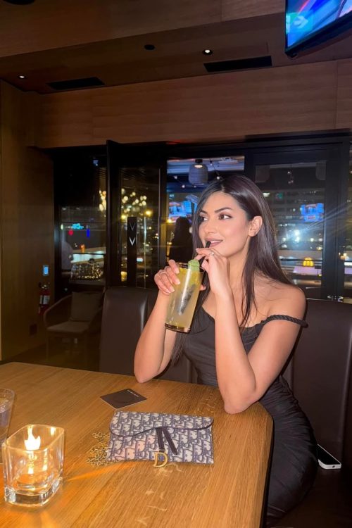 Karachi Marriott Hotel Escorts